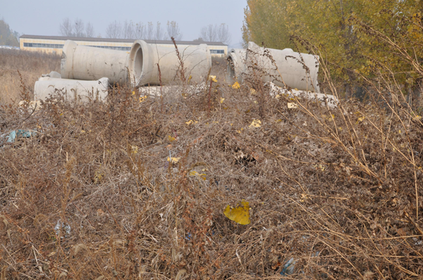 20201215092926527 20201215092926527