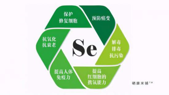 f8039e9c193a4e1e9ff468f2f4f99a75 f8039e9c193a4e1e9ff468f2f4f99a75