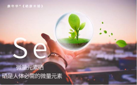 b24ef07732644560b07e29bf8d4f12bf b24ef07732644560b07e29bf8d4f12bf