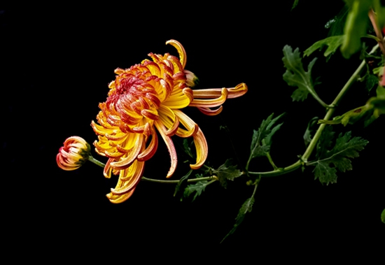 石头记——读沂蒙老杆(翟小锋)的摄影集《大地母亲的恩赐》