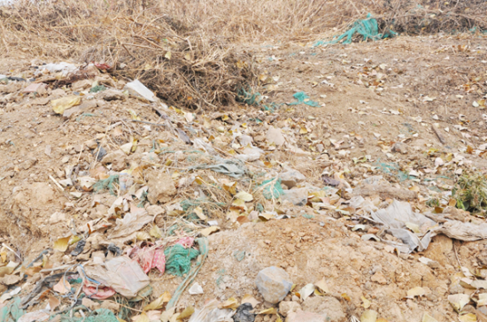 48c2d0d9p00qpt7rs00fxc000go00b2m 48c2d0d9p00qpt7rs00fxc000go00b2m