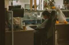 木邻7周年,让生活合乎你的本心