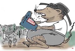 村官被指擅自转租集体土地,征地补偿款账目混乱