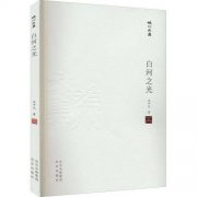 石中元:破解经济结构性困境:《白河之光》一书带来的思考