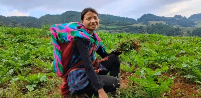 网红小英弃养女儿?多位网红因炒作卖惨被拘