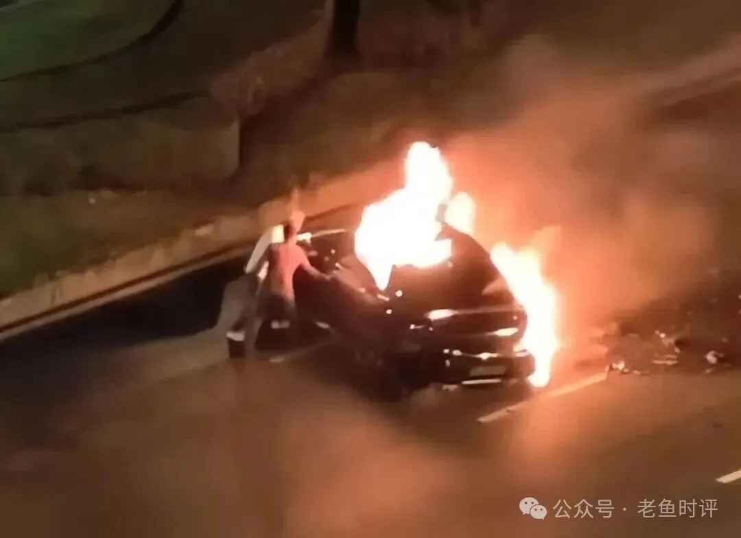 雷布斯的“速度”与“无情” 雷布斯的“速度”与“无情”